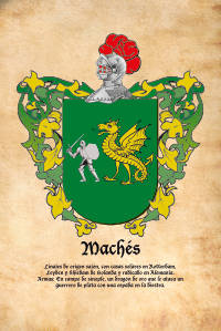 Escudo heráldico del apellido MACHES