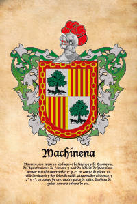 Escudo heráldico del apellido MACHINENA
