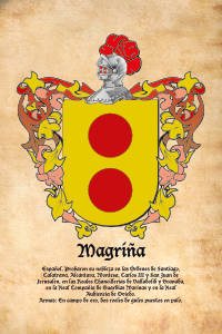 Escudo heráldico del apellido MAGRIÑA