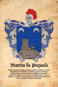 Escudo heráldico del apellido MARTIN DE POZUELO
