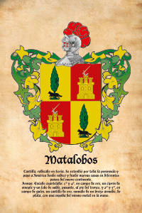 Escudo heráldico del apellido MATALOBOS