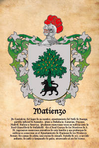 Escudo heráldico del apellido MATIENZO