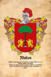 Escudo heráldico del apellido MATOS