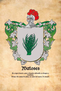 Escudo heráldico del apellido MATOSES