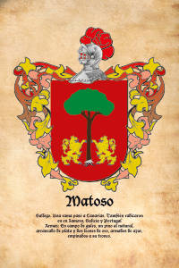 Escudo heráldico del apellido MATOSO