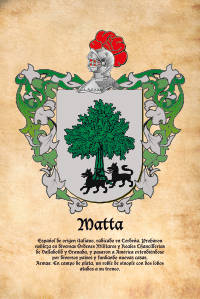 Escudo heráldico del apellido MATTA