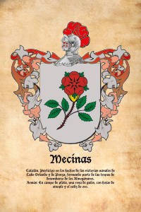 Escudo heráldico del apellido MECINAS