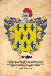 Escudo heráldico del apellido MEGINA