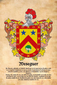 Escudo heráldico del apellido MESEGUER