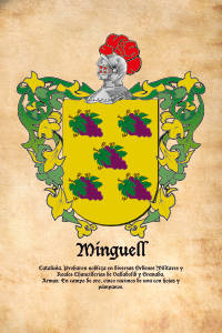 Escudo heráldico del apellido MINGUELL