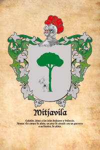 Escudo heráldico del apellido MITJAVILA