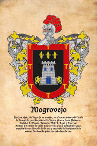 Escudo heráldico del apellido MOGROVEJO