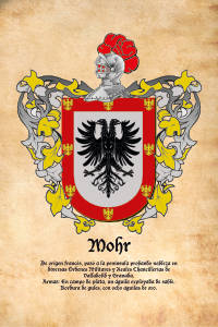 Escudo heráldico del apellido MOHR
