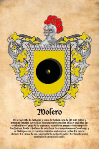 Escudo heráldico del apellido MOLERO