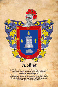Escudo heráldico del apellido MOLINA