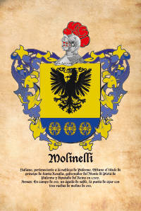 Escudo heráldico del apellido MOLINELLI