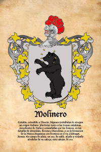 Escudo heráldico del apellido MOLINERO