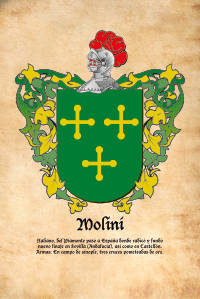 Escudo heráldico del apellido MOLINI