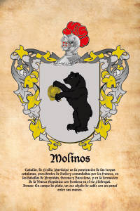 Escudo heráldico del apellido MOLINOS