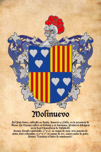 Escudo heráldico del apellido MOLINUEVO
