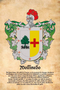 Escudo heráldico del apellido MOLLINEDO