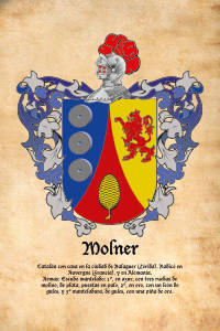 Escudo heráldico del apellido MOLNER