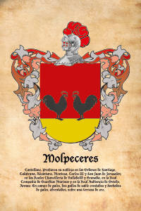 Escudo heráldico del apellido MOLPECERES