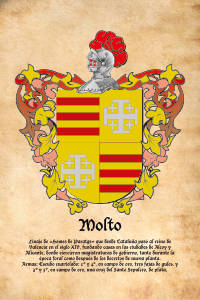 Escudo heráldico del apellido MOLTO