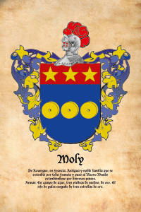 Escudo heráldico del apellido MOLY