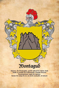 Escudo heráldico del apellido MONTAGUD