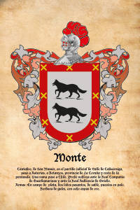Escudo heráldico del apellido MONTE