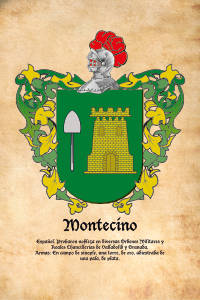 Escudo heráldico del apellido MONTECINO