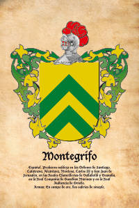 Escudo heráldico del apellido MONTEGRIFO