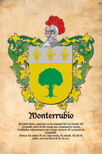 Escudo heráldico del apellido MONTERRUBIO