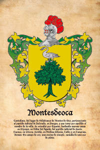 Escudo heráldico del apellido MONTESDEOCA