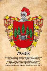 Escudo heráldico del apellido MONTIJO