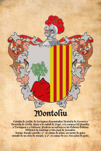 Escudo heráldico del apellido MONTOLIU