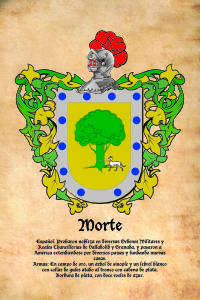 Escudo heráldico del apellido MORTE