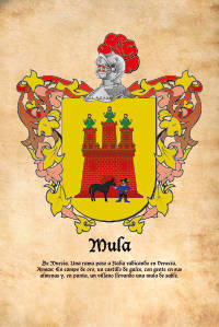 Escudo heráldico del apellido MULA