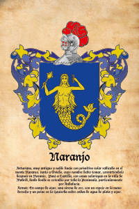 Escudo heráldico del apellido NARANJO