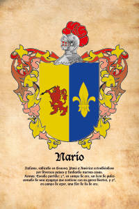 Escudo heráldico del apellido NARIO
