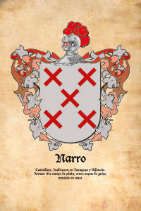Escudo heráldico del apellido NARRO