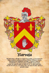 Escudo heráldico del apellido NARVAJA