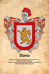 Escudo heráldico del apellido NAVIO