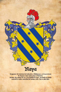 Escudo heráldico del apellido NAYA