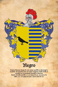 Escudo heráldico del apellido NEGRO