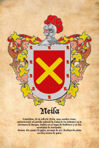 Escudo heráldico del apellido NEILA