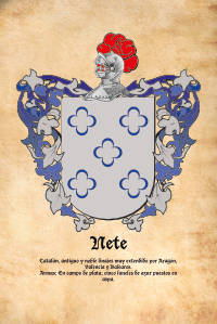 Escudo heráldico del apellido NETE