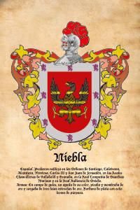 Escudo heráldico del apellido NIEBLA