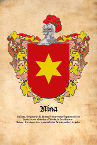 Escudo heráldico del apellido NINA